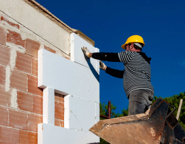 Best Insulation Removal  in Picayune, MS