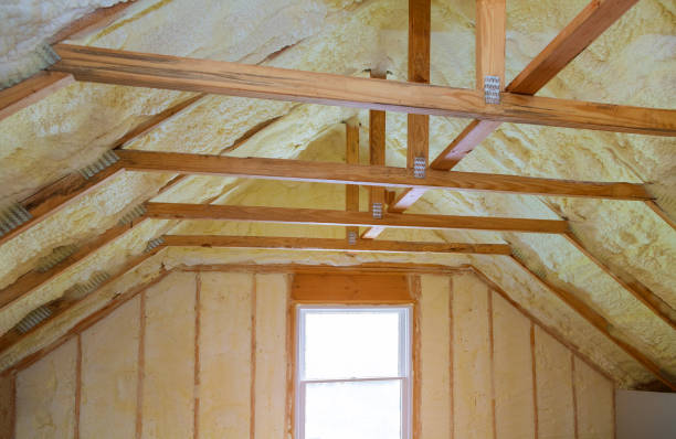 Best Attic Insulation Installation  in Picayune, MS