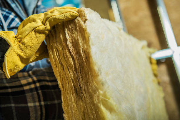 Best Local Insulation Services  in Picayune, MS