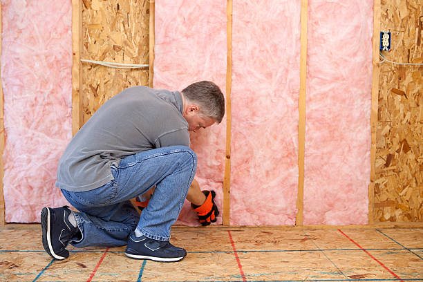 Best Spray Foam Insulation  in Picayune, MS