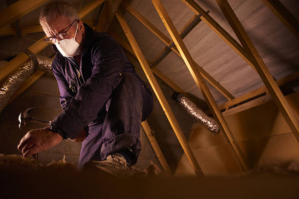 Best Fiberglass Insulation  in Picayune, MS